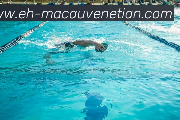 威尼斯人官网平台生态图